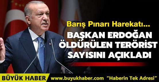 Başkan Erdoğan Barış Pınarı Harekatı'nda öldürülen terörist sayısını açıkladı
