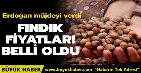 Başkan Erdoğan, fındık üreticilerine müjdeyi verdi