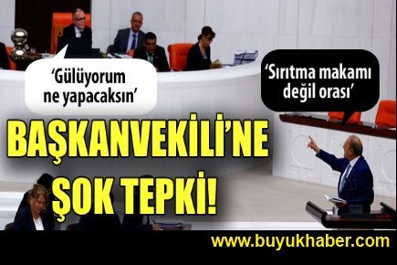 Başkanvekili'ne şok tepki