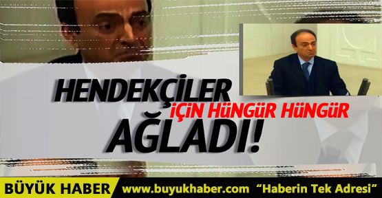  Baydemir teröristler için Meclis kürsüsünde ağladı