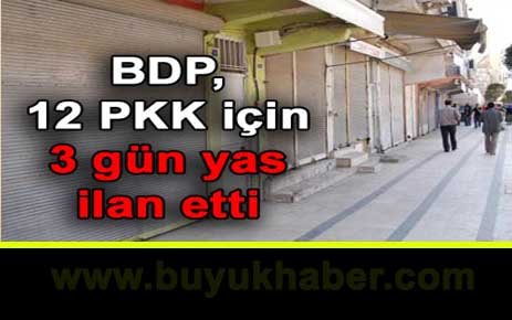 BDP, 12 PKK için 3 gün yas ilan etti.