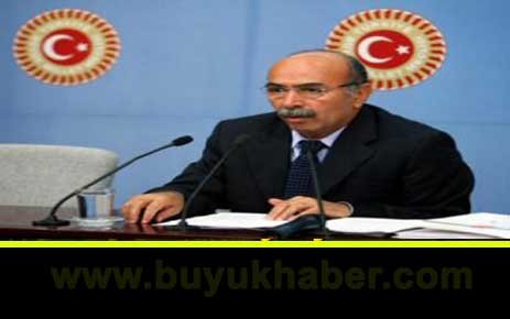 BDP Genel Başkanı'ndan Provokatif Açıklama