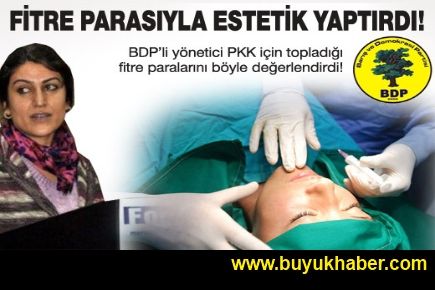 BDP'li yönetici fitre parasıyla estetik yaptırdı