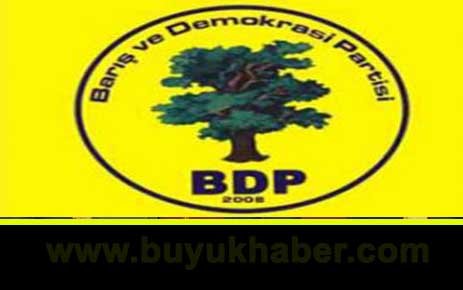 BDP'nin yeni Genel Başkanı Hamit Geylani.