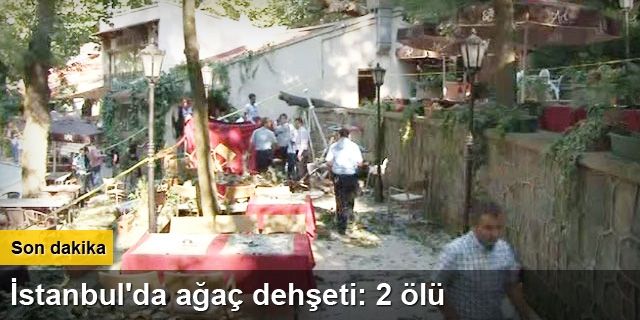 Beykoz'da ağaç devrildi 2 ölü 