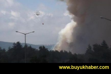 Beykoz'da orman yangını