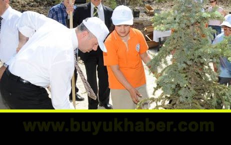 BEYLİKDÜZÜ’NDE AĞAÇLANDIRMA SEFERBERLİĞİ