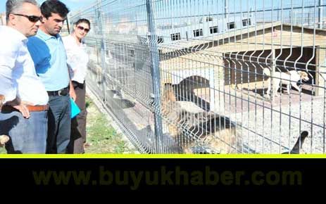 Beylikdüzü'ne modern bir park yapılacak