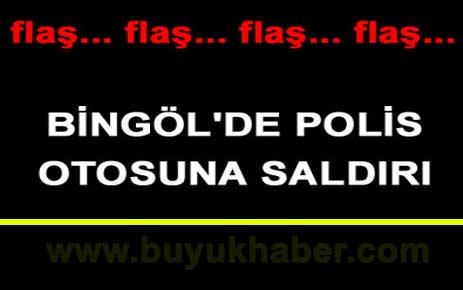 Bingöl'de polise silahlı saldırı: 1 yaralı