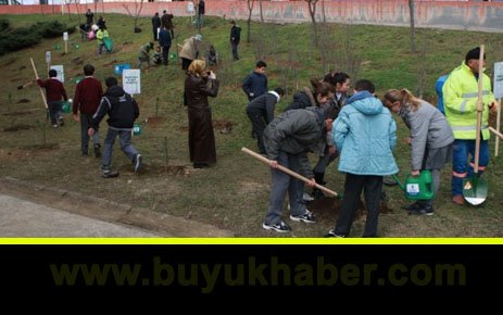 Bir Fidan... Bir Hayat