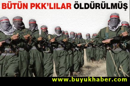 Bitlis kırsalındaki bütün PKK'lılar öldürülmüş