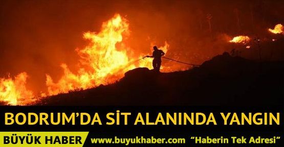 Bodrum Yalıkavak SİT alanında yangın