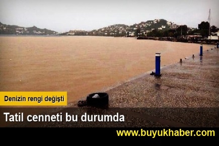 Bodrum’da deniz kahverengiye döndü