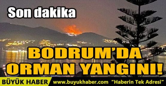 BODRUM'DA ORMAN YANGINI!