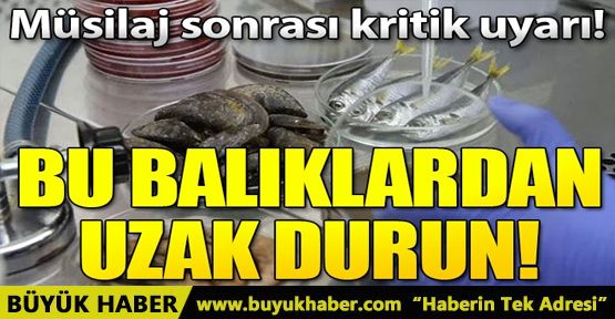 Bu balıklardan uzak durun! Müsilaj sonrası kritik uyarı