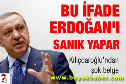 Bu ifade Erdoğan'ı sanık yapar