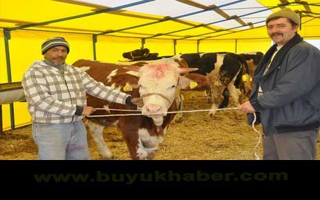 Büyükçekmece Belediyesi Kurban Bayramına Hazır…