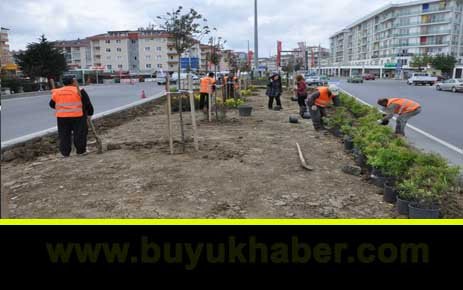 Büyükçekmece Belediyesi Peyzaj düzenlemesine hız verdi…