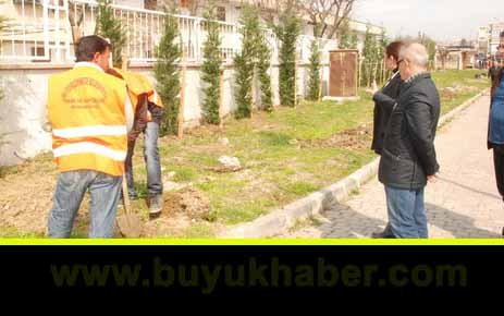 Büyükçekmece yeşile bürünecek…