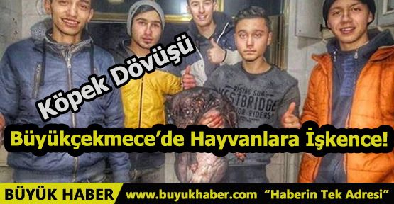 Büyükçekmece'de Hayvanlara İşkence!