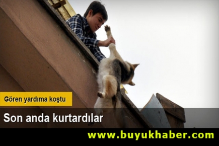 Çatıda asılı kalan köpeği kurtardılar