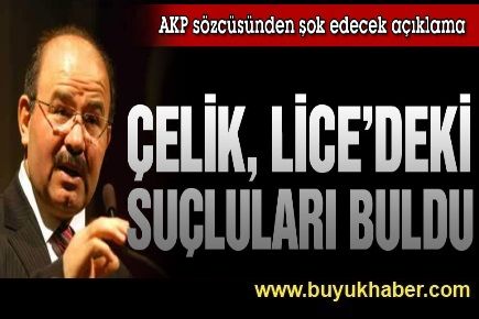 Çelik, Lice’deki suçluyu buldu