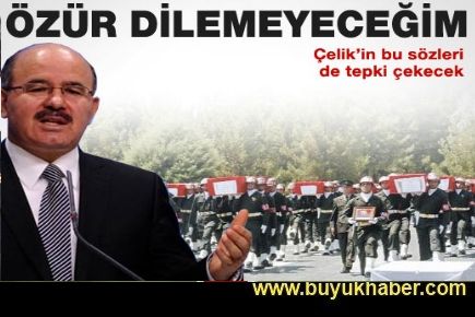 Çelik'ten 'birkaç Mehmet' açıklaması