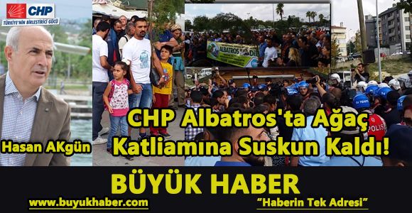 CHP Albatros'ta Ağaç Katliamına Suskun Kaldı!