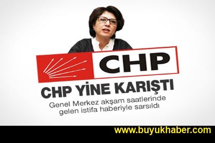 CHP GENEL BAŞKAN YARDIMCISI İSTİFA ETTİ