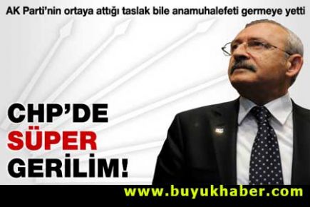 CHP'de 'Süper başkan' alarmı