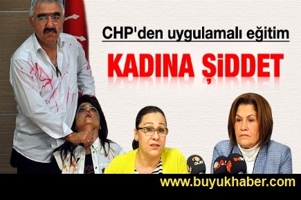 CHP'den tartışılacak şiddet protestosu