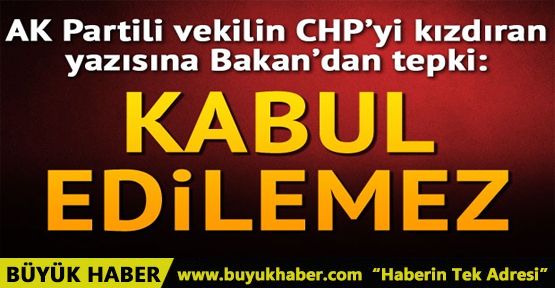 CHP'yi kızdıran yazıya Bakan Çelik'ten tepki
