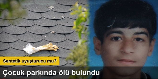 Çocuk parkında ölü bulundu