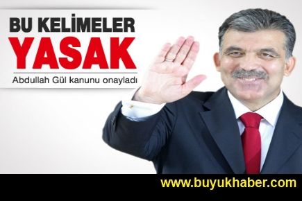 Cumhurbaşkanı Gül 'engelli' yasasını onayladı