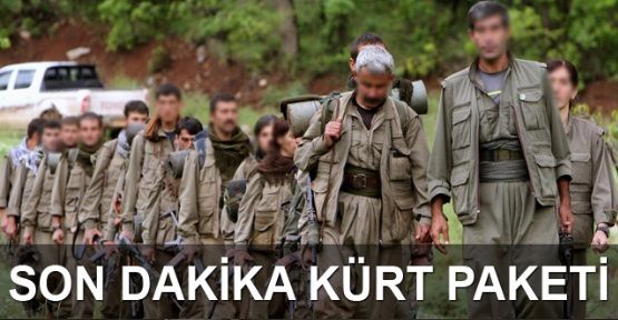 Dağdan inen PKK'lıya rehabilitasyon