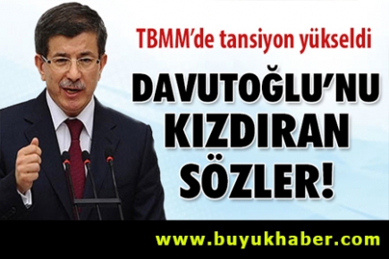 Davutoğlu'nu kızdıran sözler!