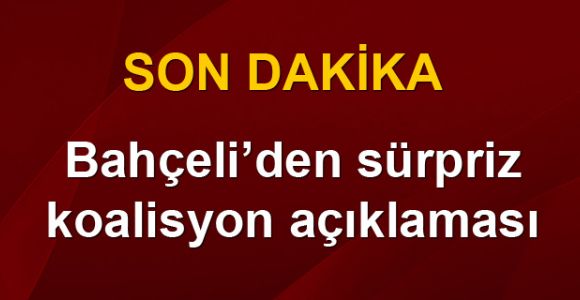 Devlet Bahçeli: Gövdemizi taşın altına koyarız