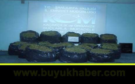Diyarbakır'da Büyük Operasyon!