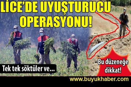 Diyarbakır´da kenevir operasyonu