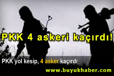 Diyarbakır'ın Lice İlçesi'nde PKK'lılar yol kesip 4 askeri kaçırdı