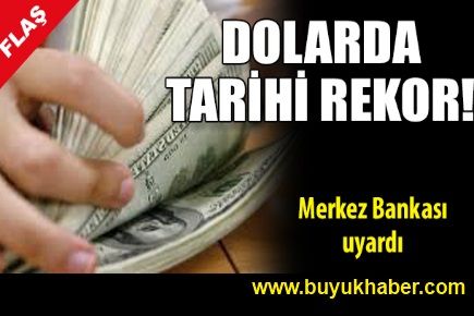 Dolarda tarihi rekor