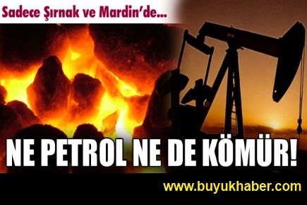 Dünyada benzerini bulmak çok zor!