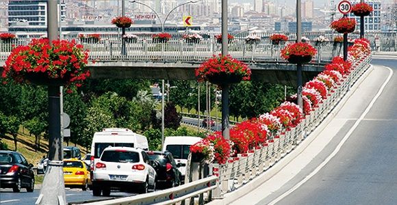 Duvarlar Çiçek Açtı, Faturası İstanbullulara Kesildi