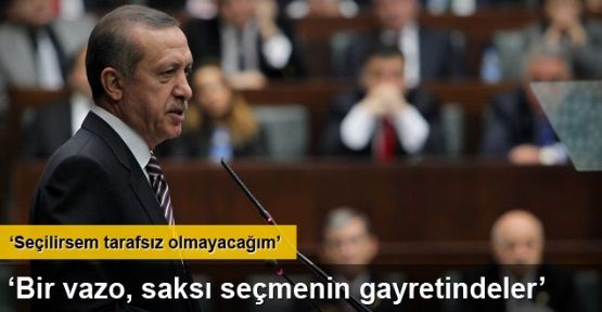 Erdoğan Bir vazo, saksı seçmenin gayretindeler