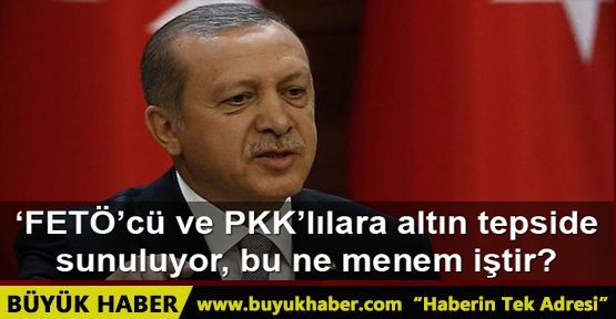 Erdoğan FETÖ’cü ve PKK’lı teröristlere altın tepside sunuluyor