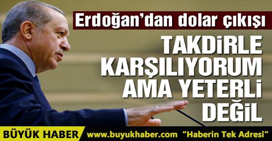 Erdoğan: Milletim daha da yüklenmeli