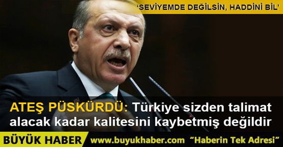 Erdoğan: Seviyemde değilsin, önce haddini bil