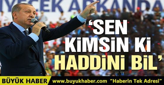 Erdoğan’dan Alman Bakan’a sert tepki!