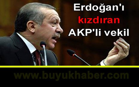 Erdoğan'ı kızdıran AKP'li vekil