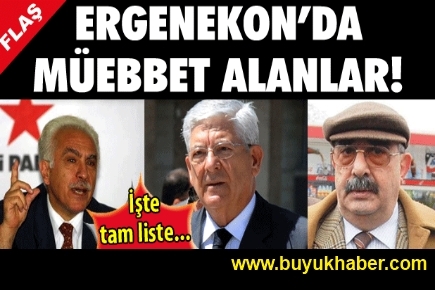 Ergenekon'da müebbet alan isimler!